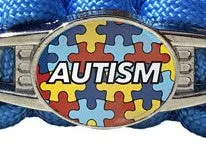 2-Charm Medical ID Paracord Bracelet