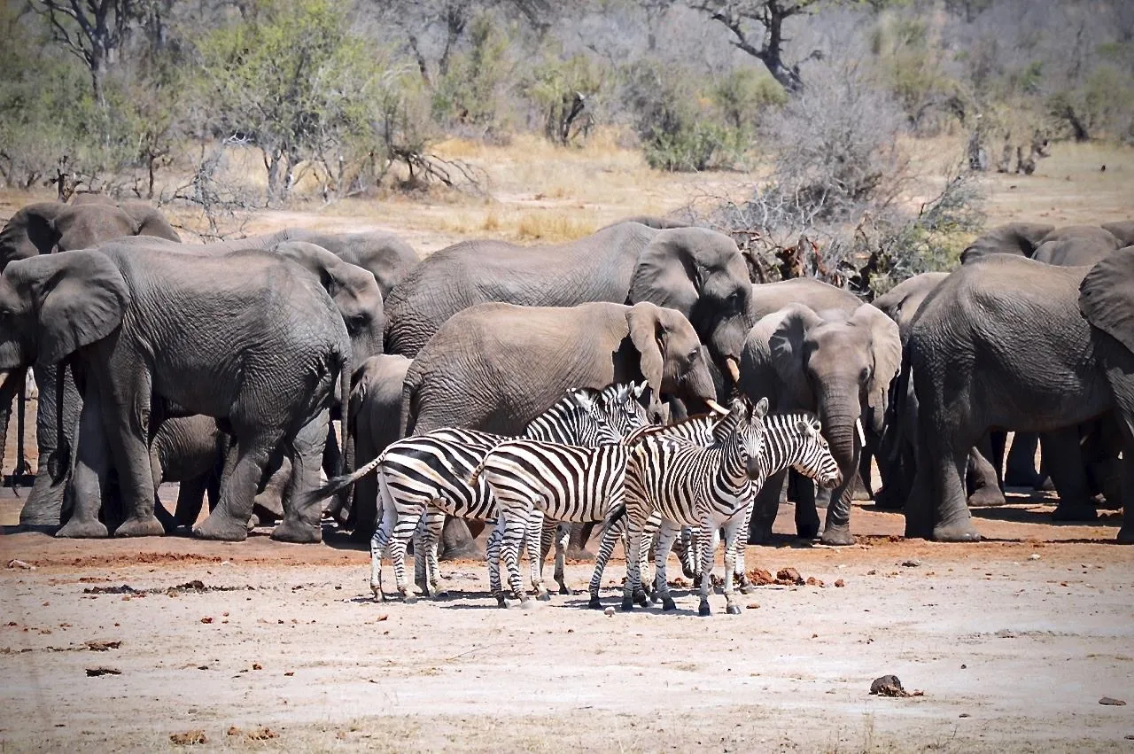 9 Day Berg to Bush Explorer Tour