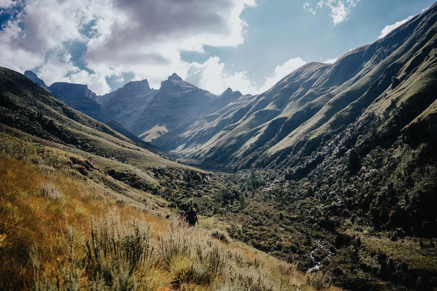 9 Day Berg to Bush Explorer Tour