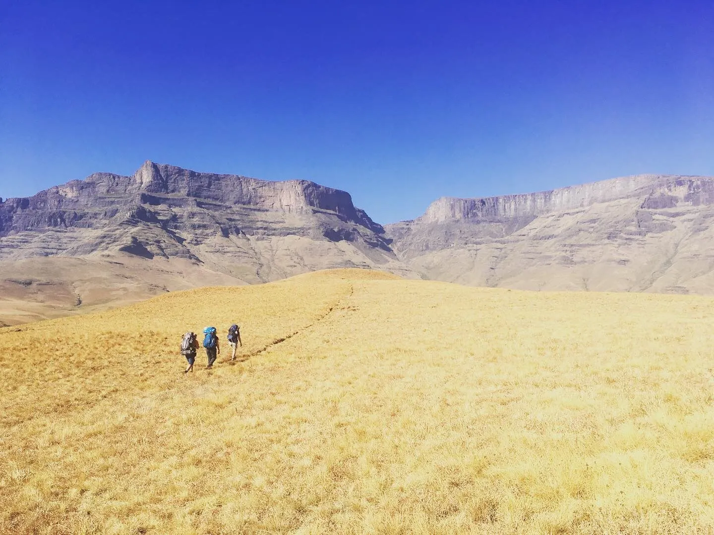 9 Day Berg to Bush Explorer Tour
