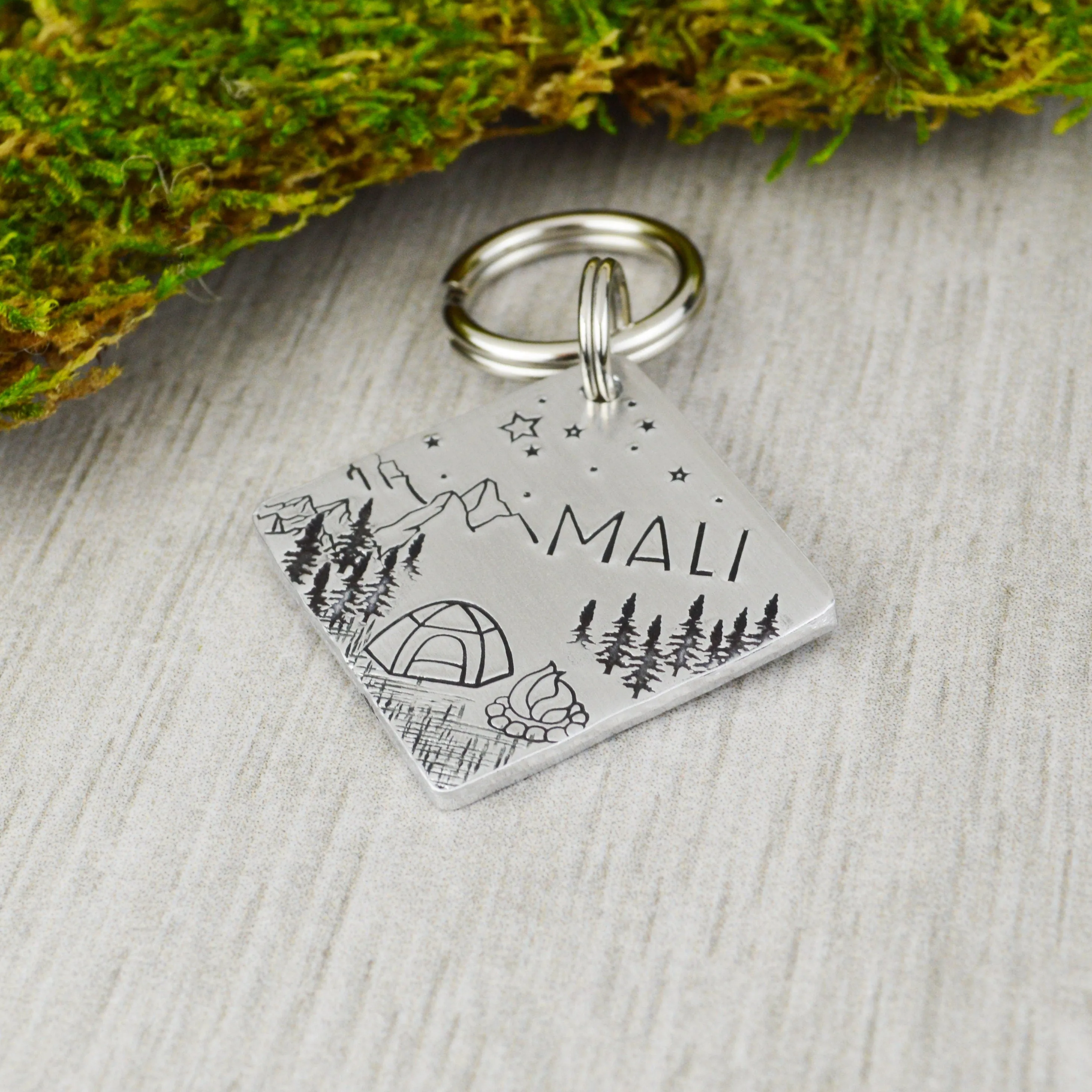 Alpine Camping Pet ID Tag