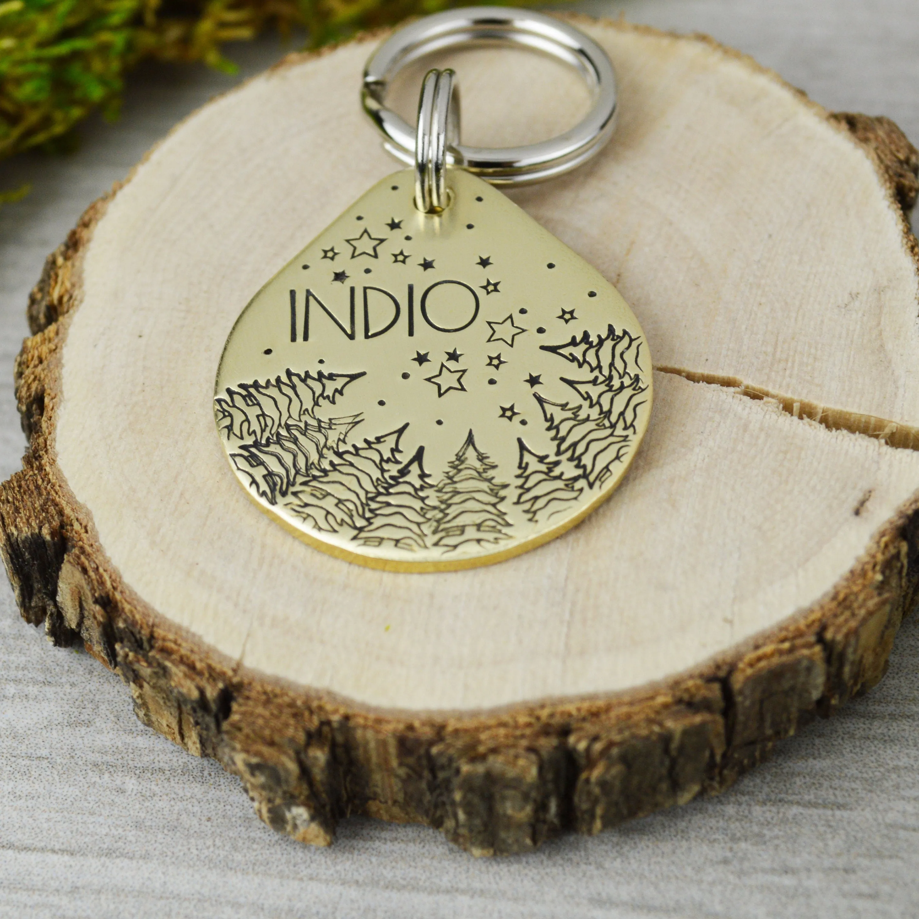 Beyond the Sky Pet ID Tag