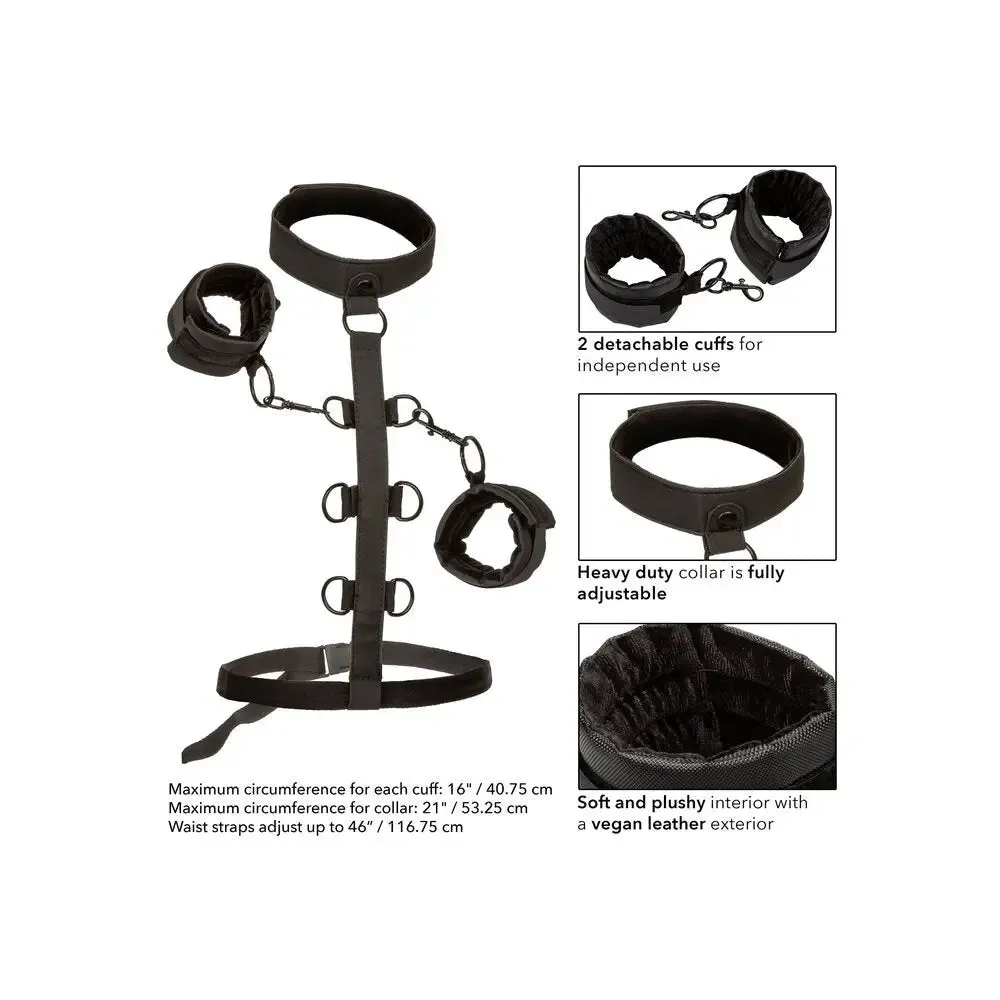 Colt Nylon Black Boundless Collar Body Restraint