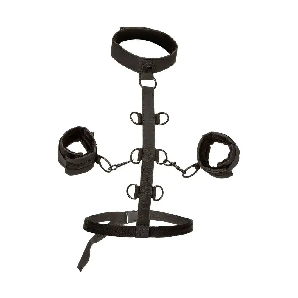 Colt Nylon Black Boundless Collar Body Restraint