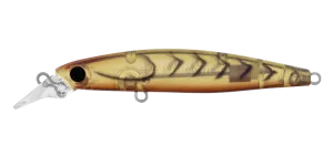INFEET SAZANAMI 60SP