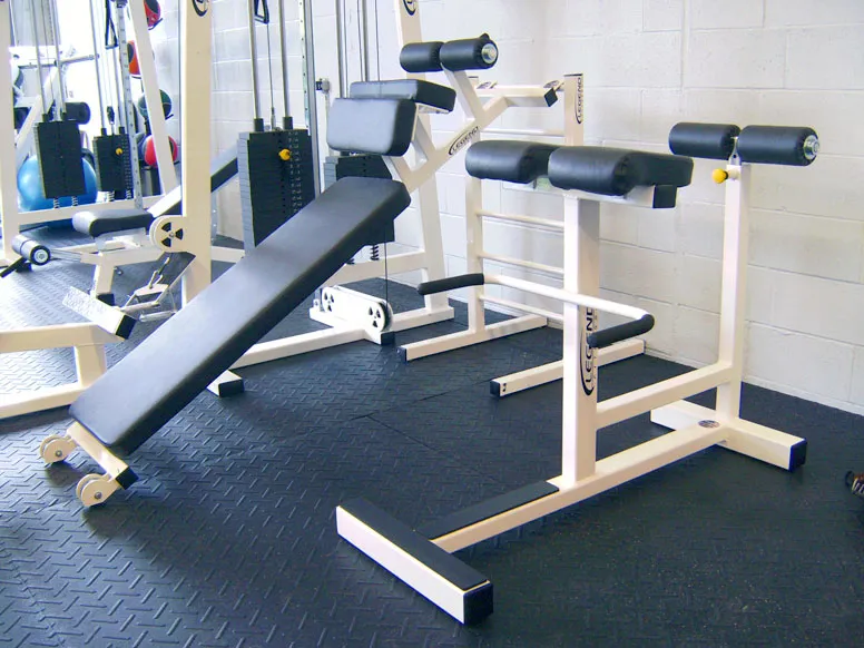 LEGEND FITNESS HORIZONTAL HYPER EXTENSION - 3151