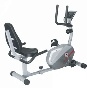 Lifeline Fitness Magnetic Recumbent Bike 8317RB