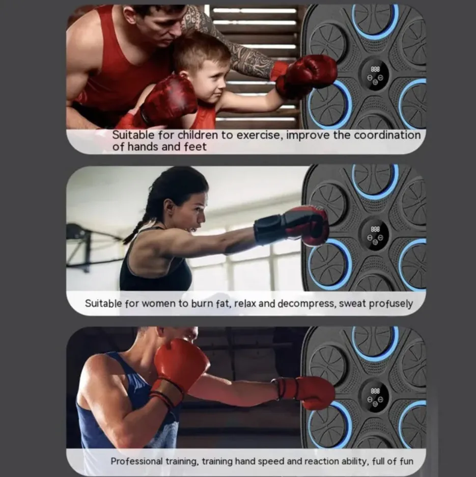 Music Boxing Target Wall Trainer