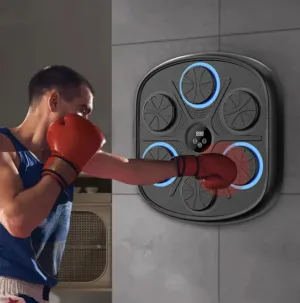 Music Boxing Target Wall Trainer