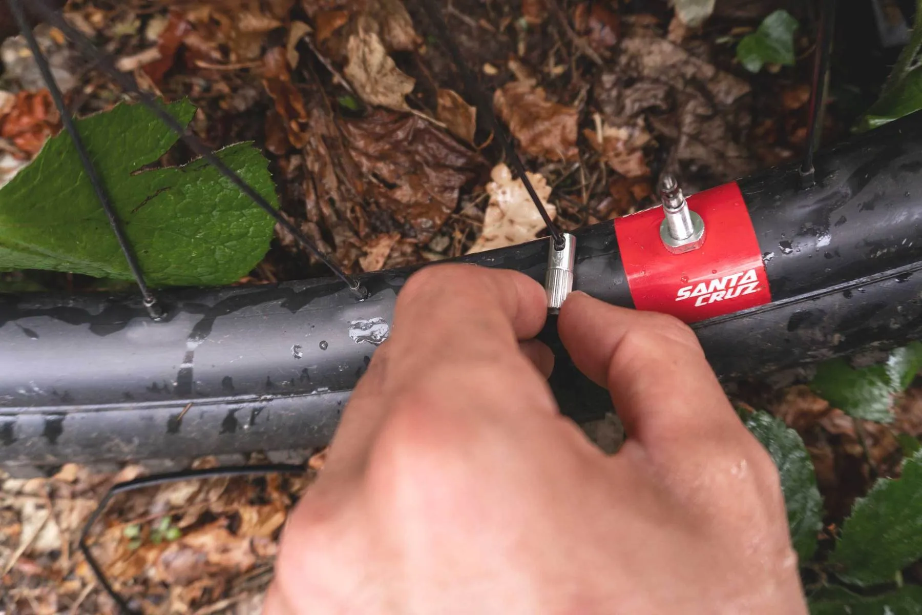 PEATY'S X CHRIS KING (MK2) TUBELESS VALVES (42mm)