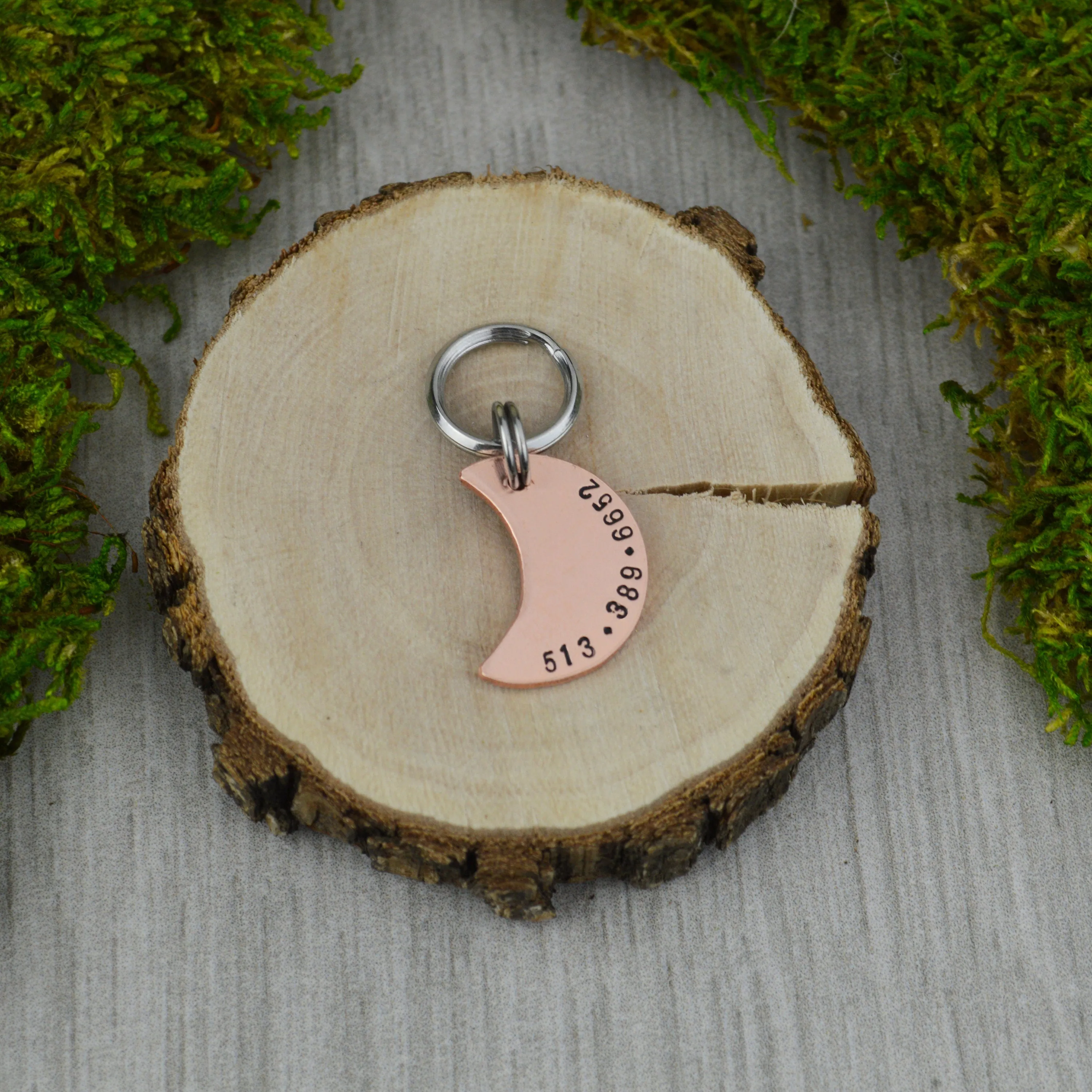 Range Under the Stars, Too! Mini Pet ID Tag