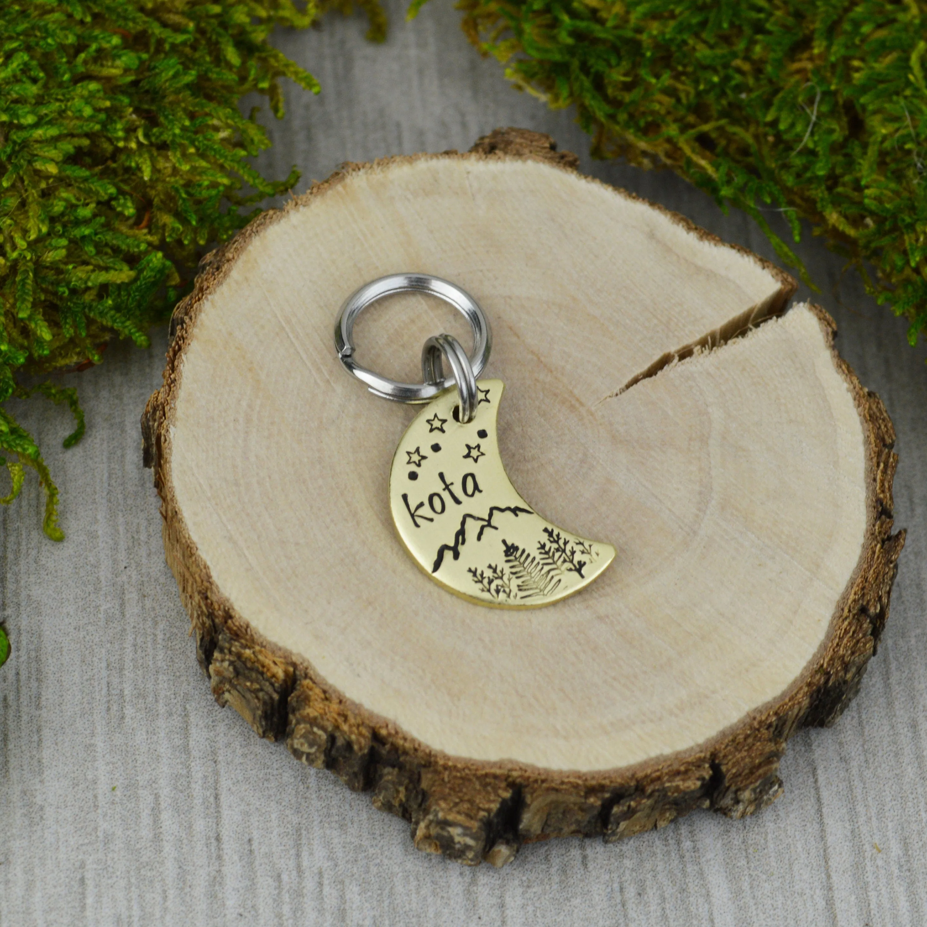 Range Under the Stars, Too! Mini Pet ID Tag