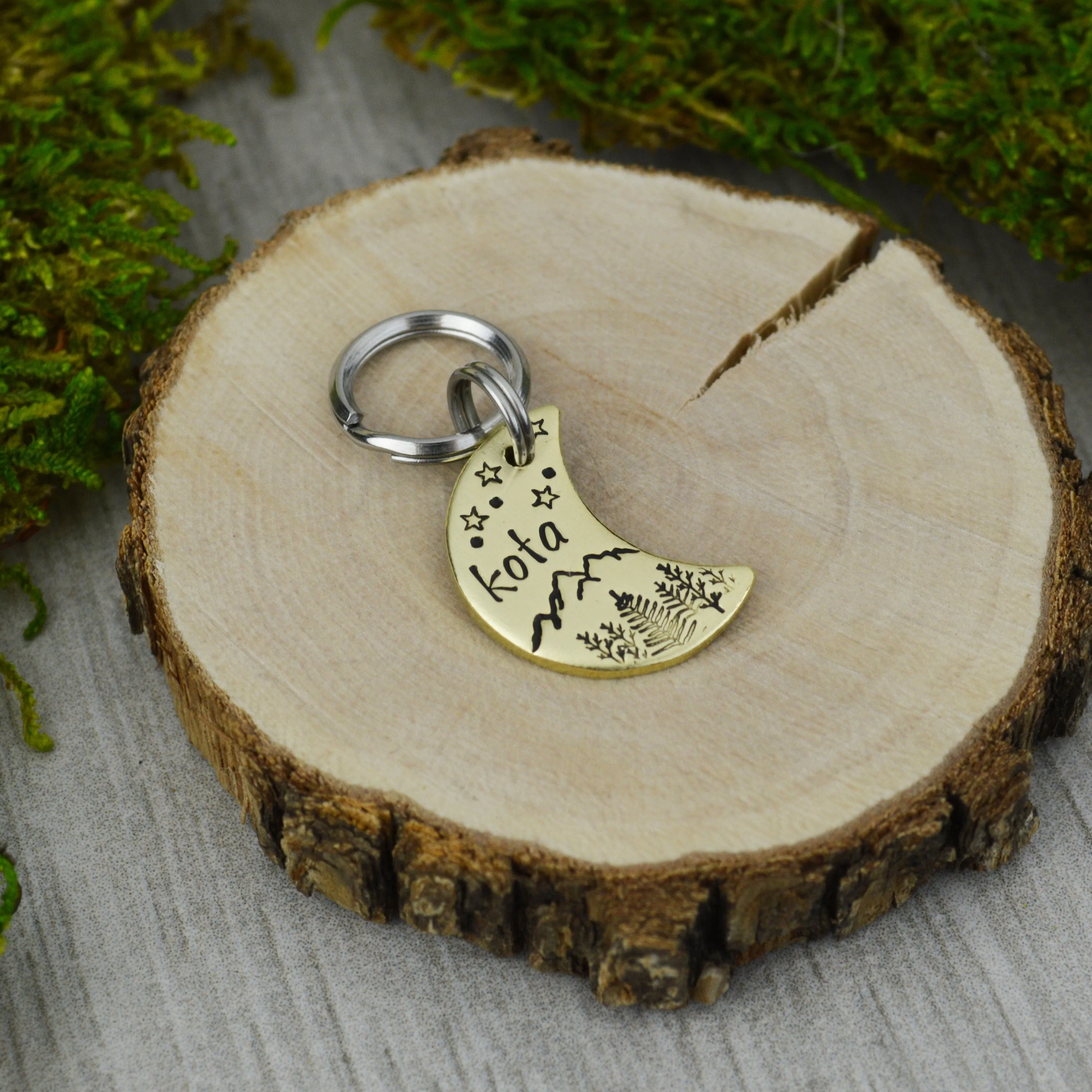 Range Under the Stars, Too! Mini Pet ID Tag