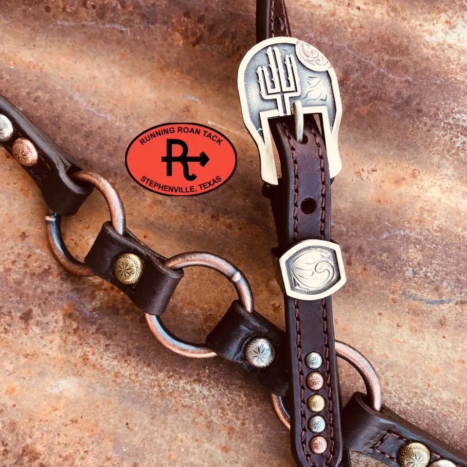 Single Ear Ring Headstall with Multicolor Dots and German Silver Cactus Hardware 38"-42"