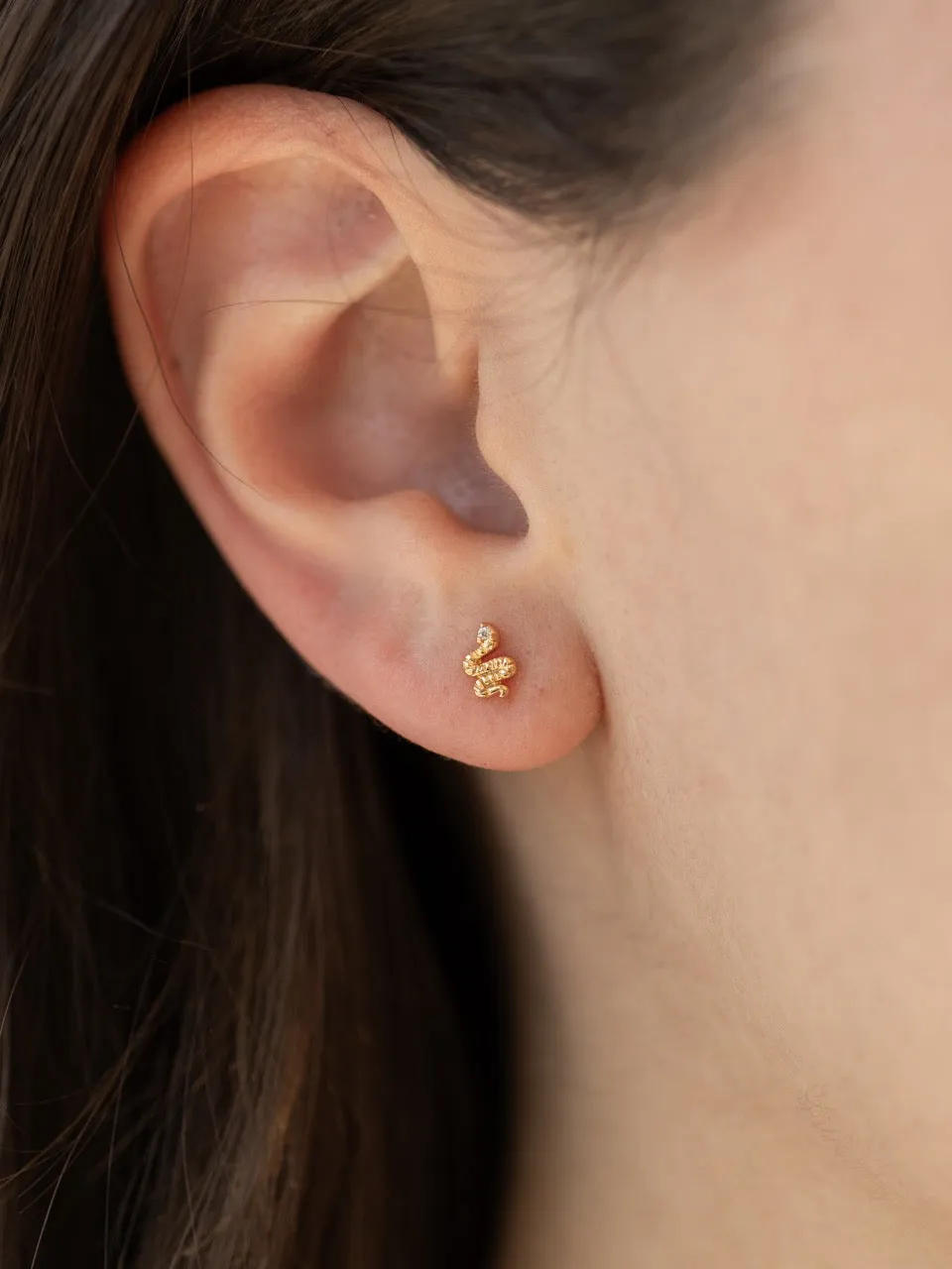 Snake Stud Earrings in Gold