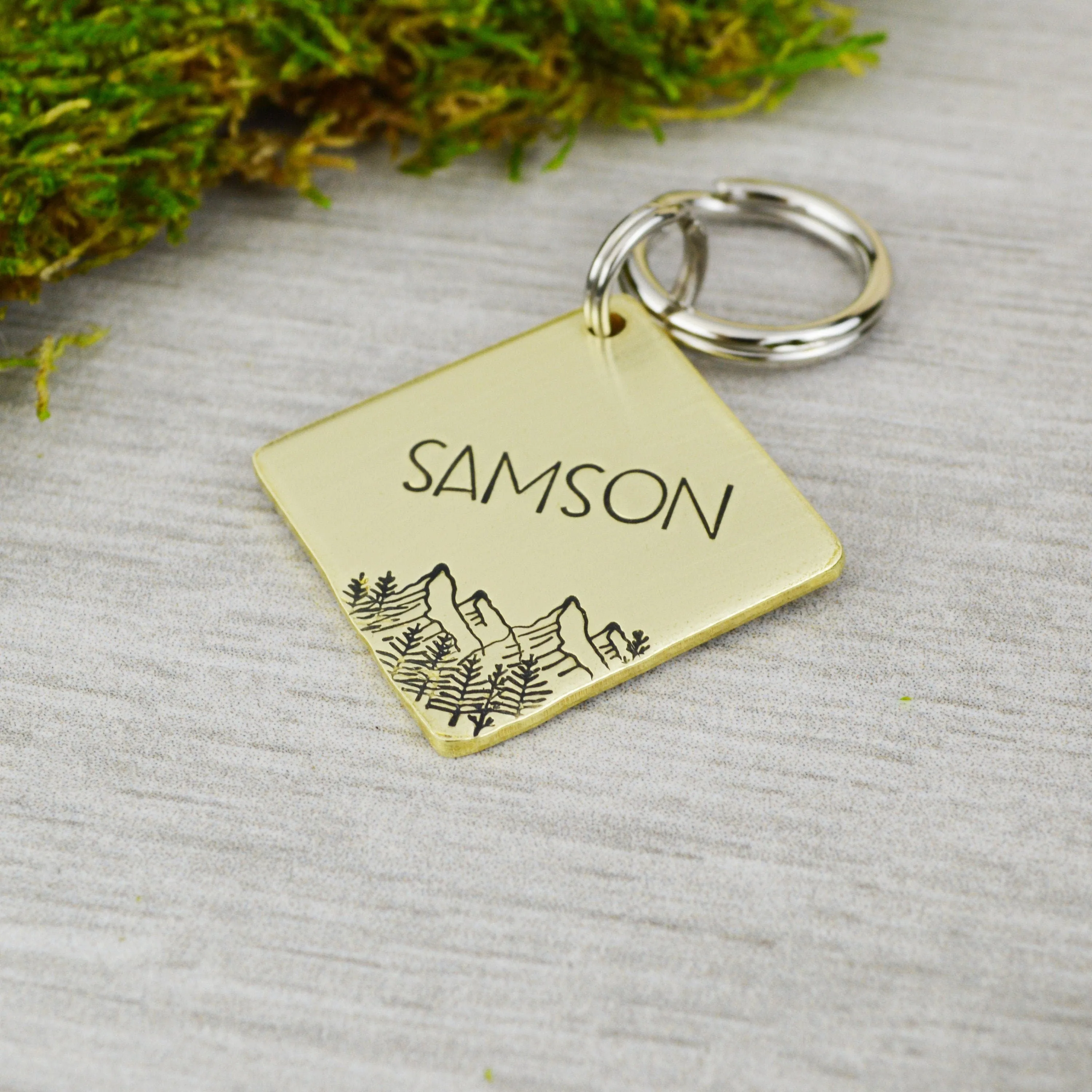 Spring in the Rockies Pet ID Tag