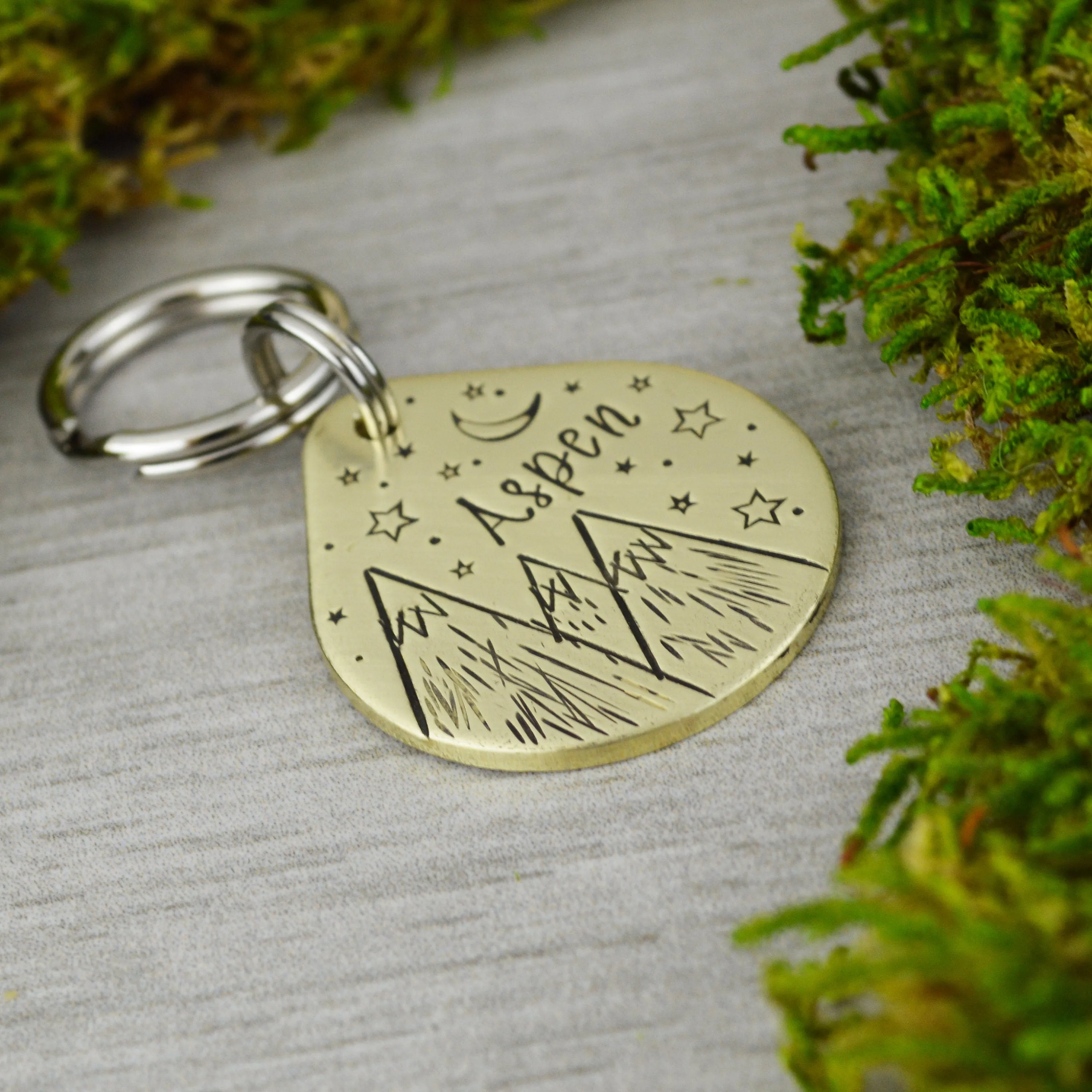 Starry Peaks Pet ID Tag