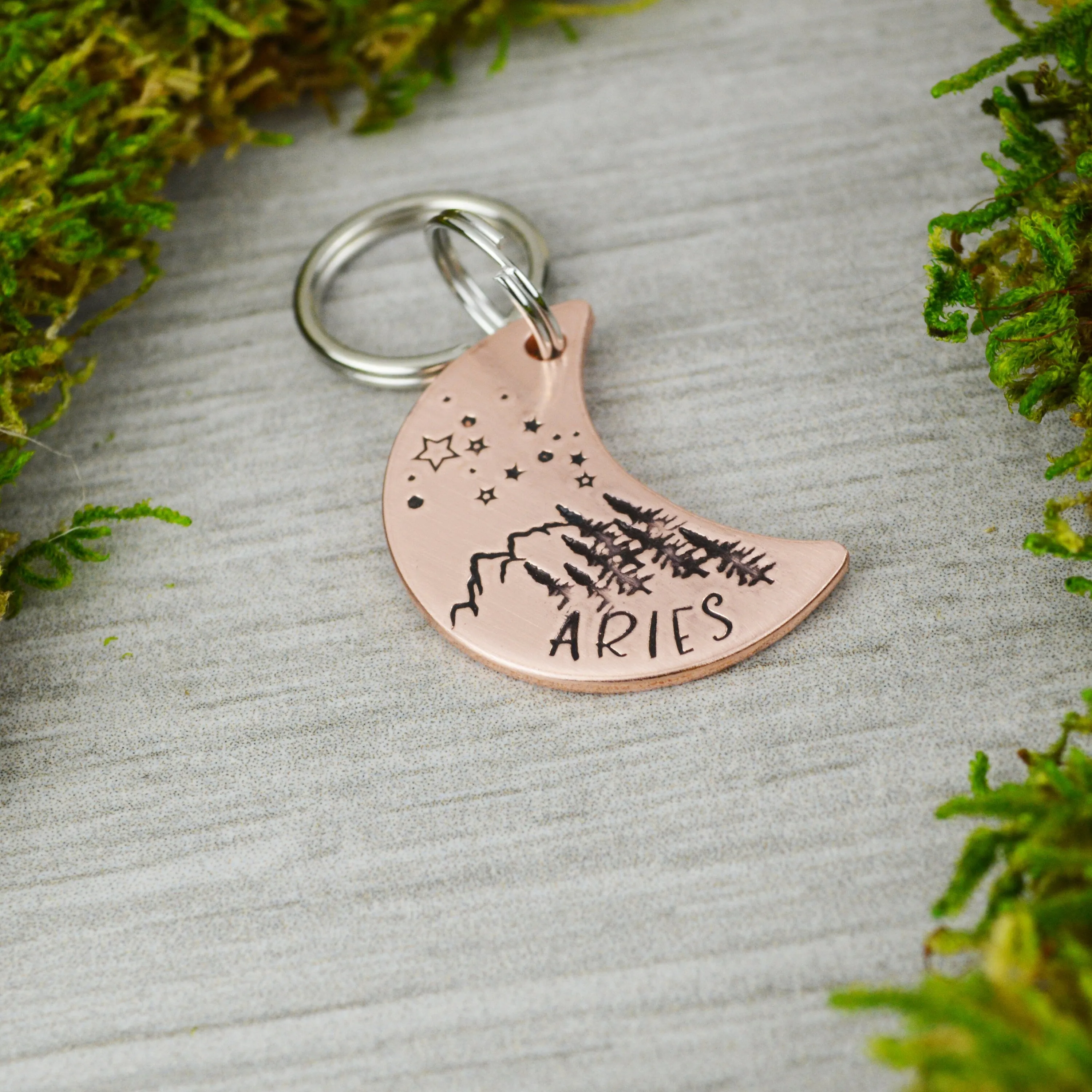 Starry Skies Pet ID Tag