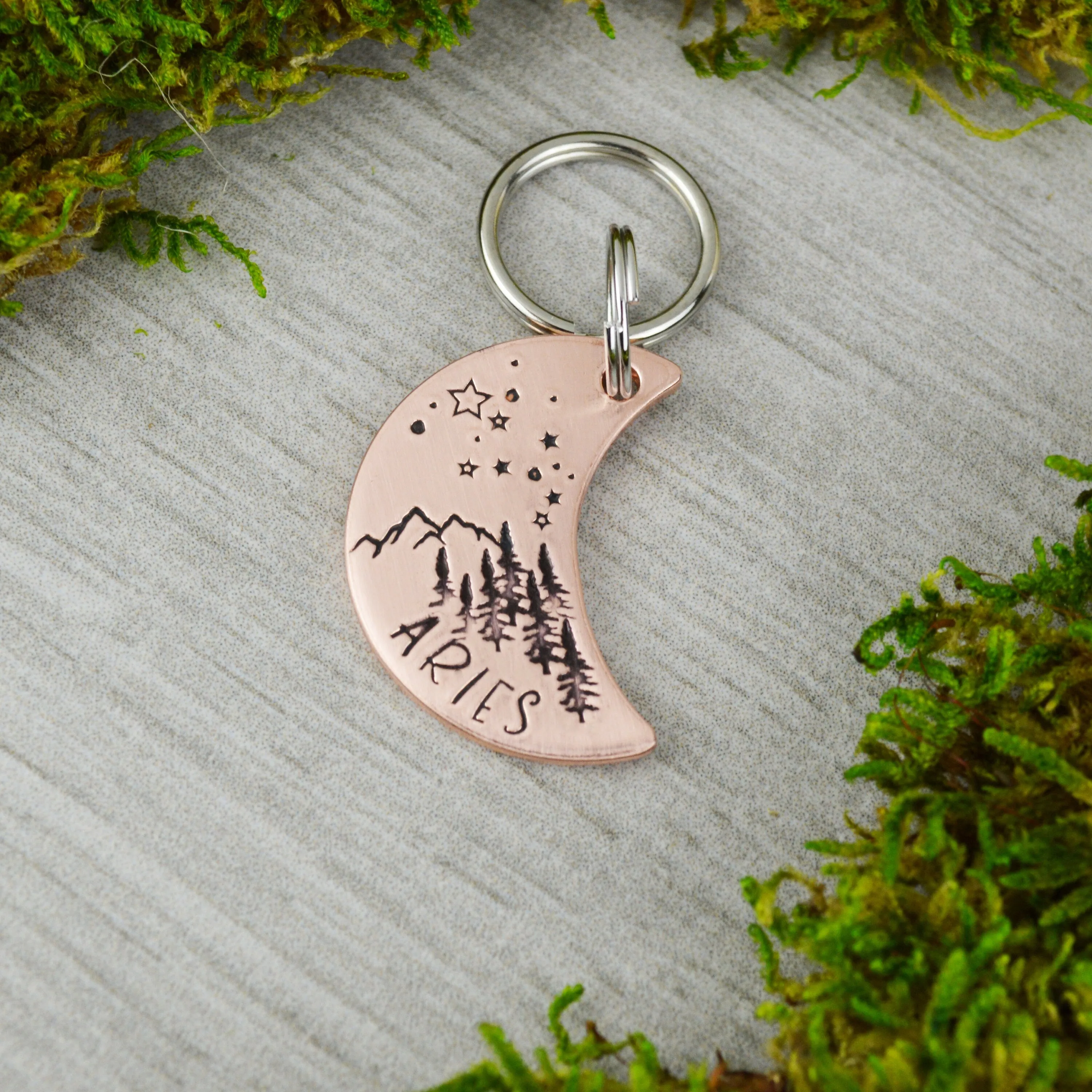 Starry Skies Pet ID Tag
