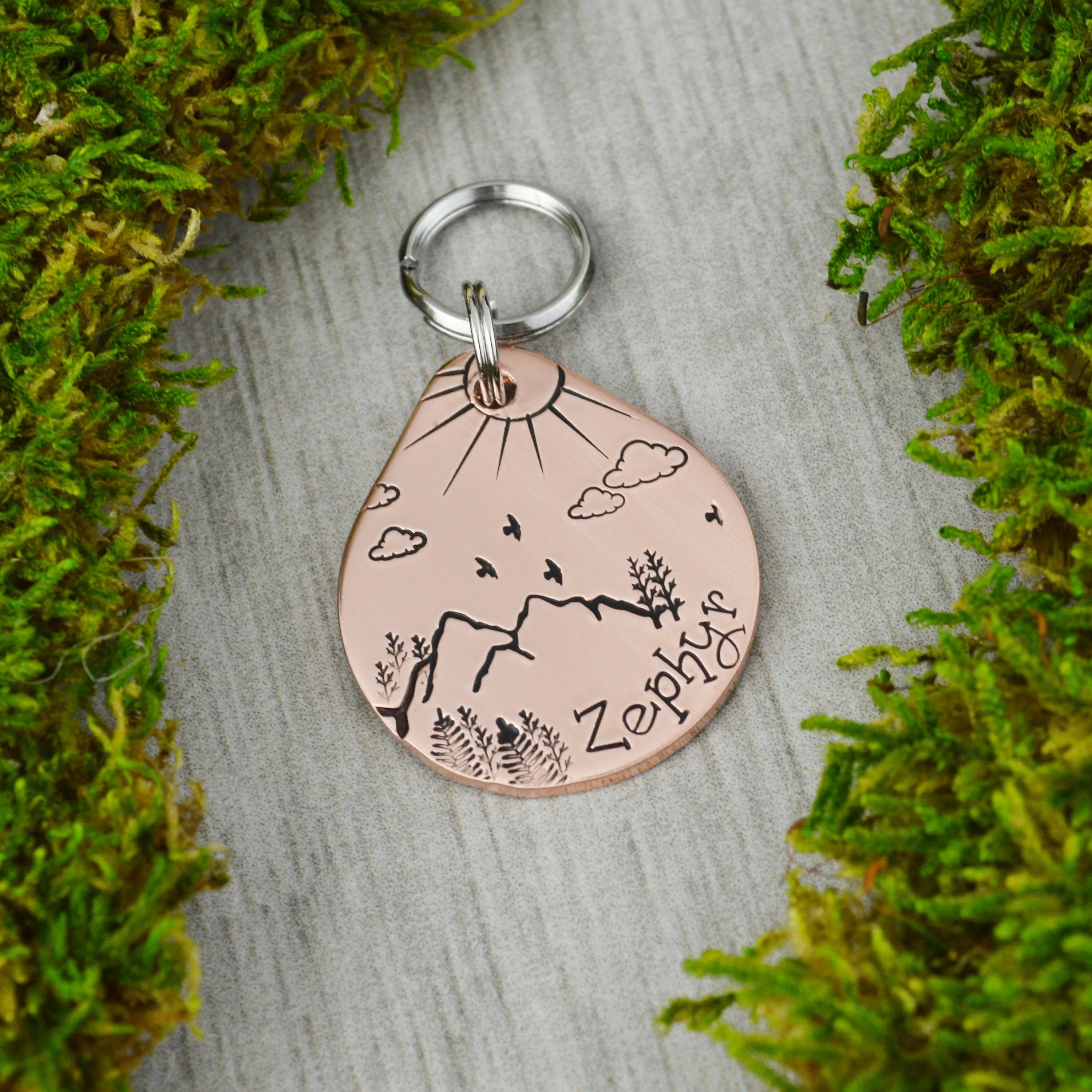 Sun Over the Ridge Adventures Pet ID Tag
