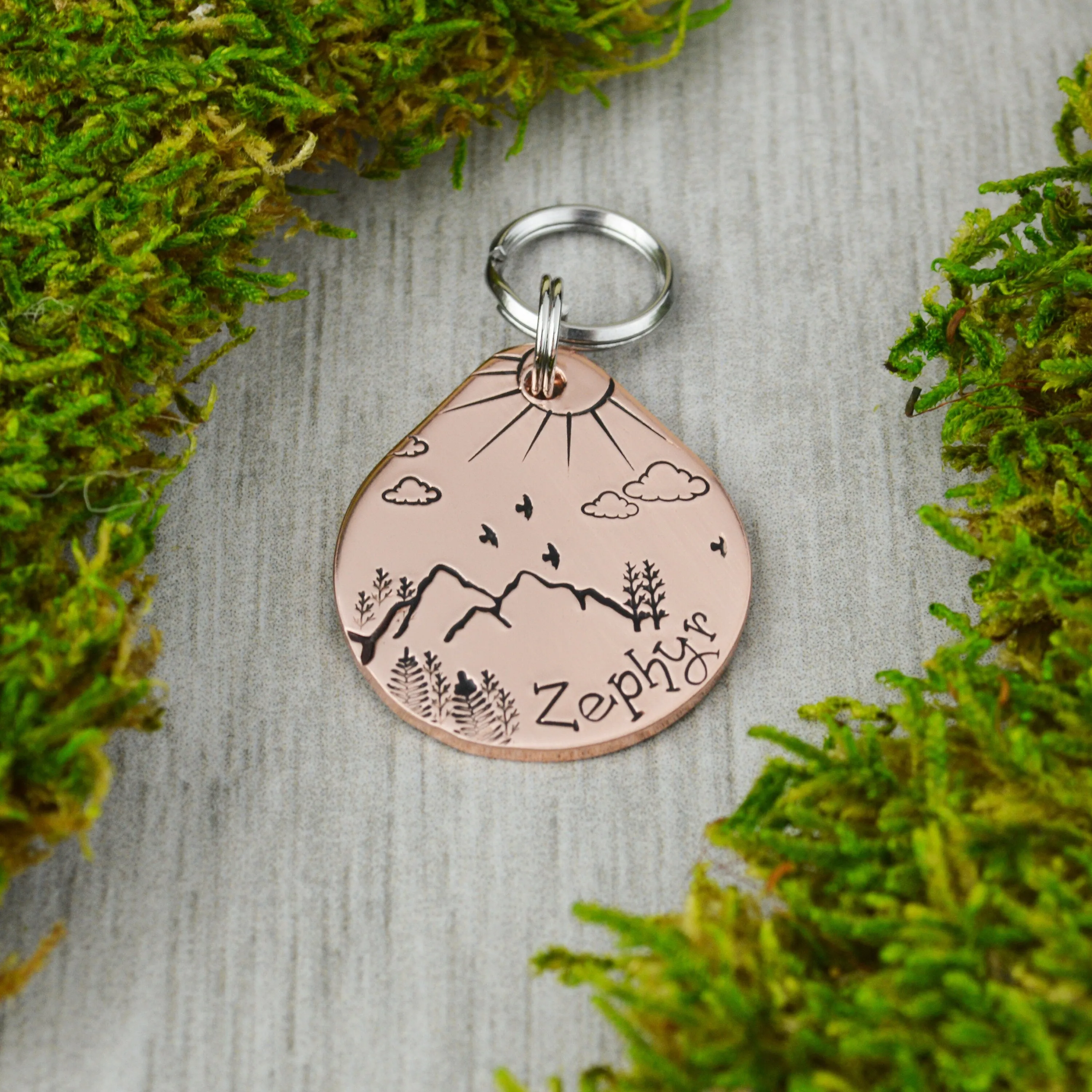 Sun Over the Ridge Adventures Pet ID Tag