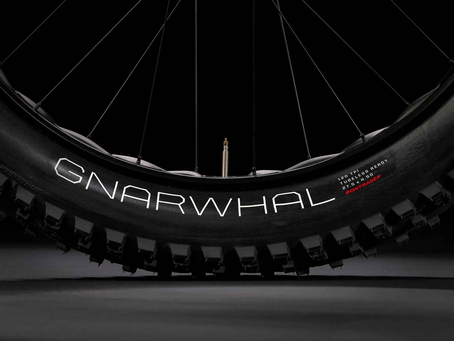 Trek Farley 5 Fat Bike 2024