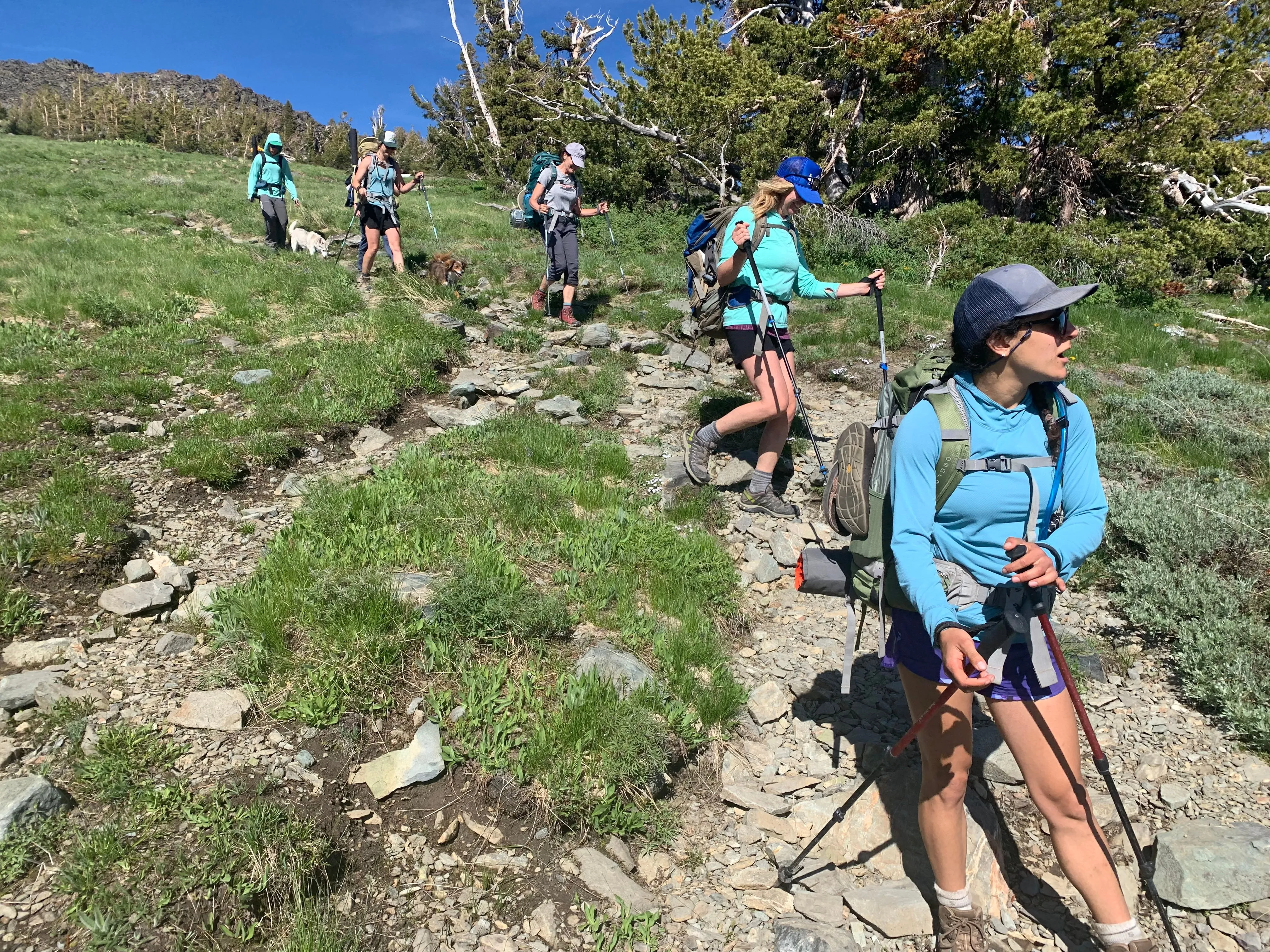 Truckee Tahoe Backpacking