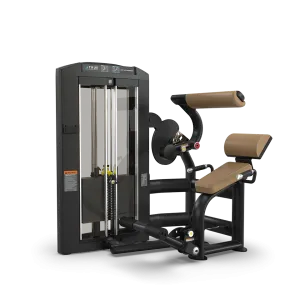 True Fitness Palladium Low Back Extension