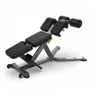 True FS-22 Low Back/Abdominal Bench